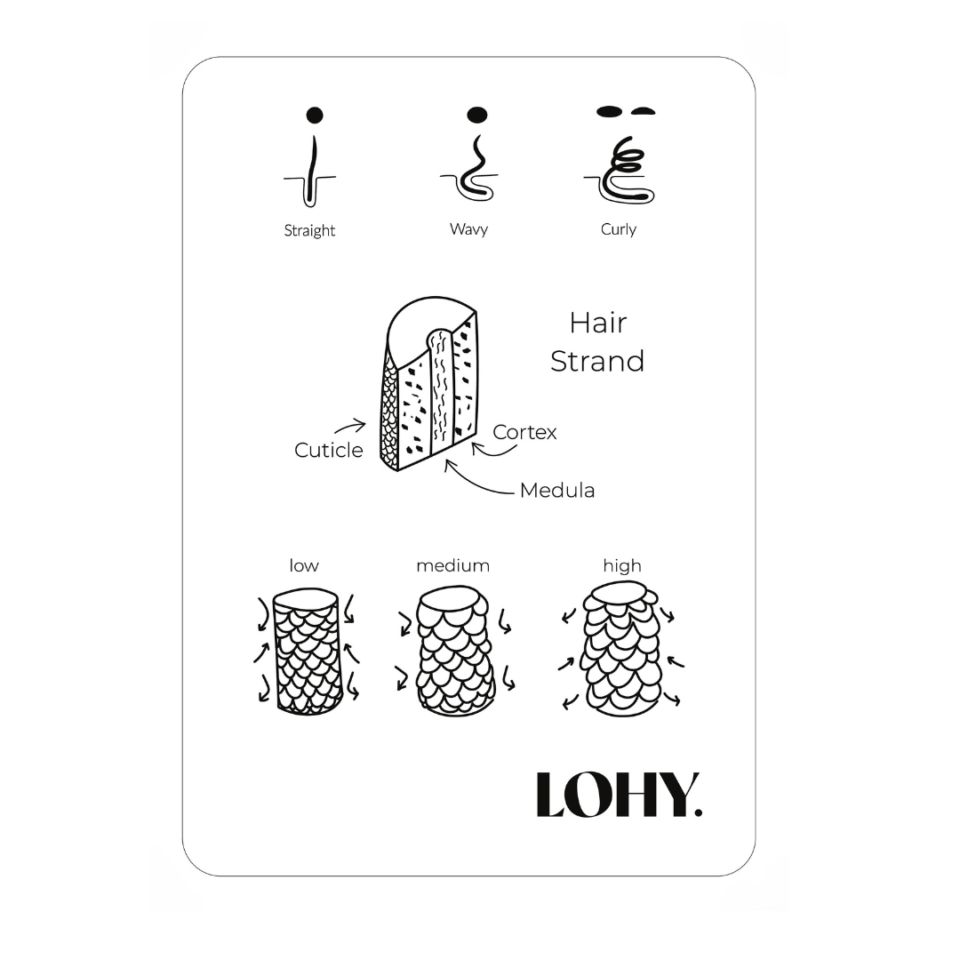 LOHY. Curl Information Board