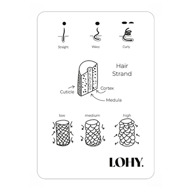 LOHY. Curl Information Board